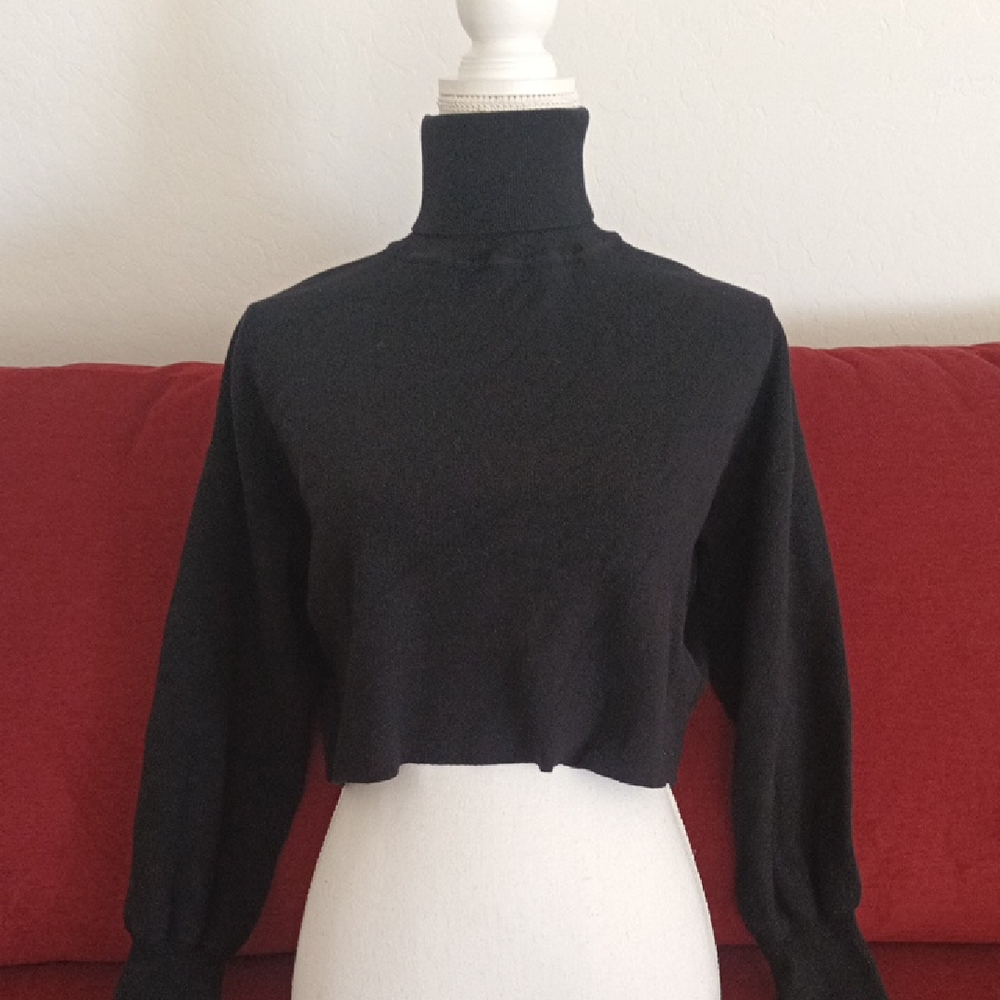 Shein Crop Ribbed Turtleneck Long Sleeve Top
